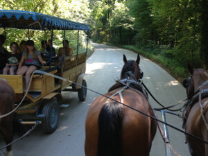 Fahrt mit der Kutsche zum Schloss Herrenchiemsee