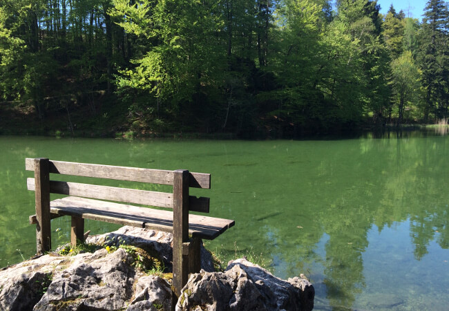 Bank am Ruhpoldinger Taubensee