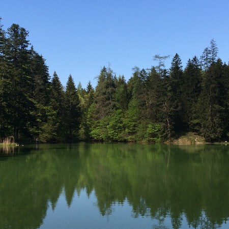 Blick auf den Taubensee bei Ruhpolding