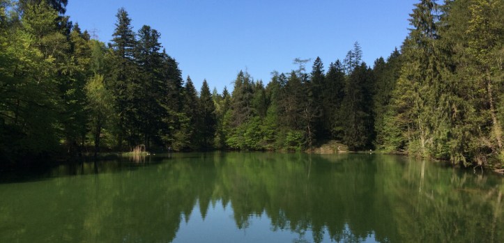 Blick auf den Taubensee bei Ruhpolding