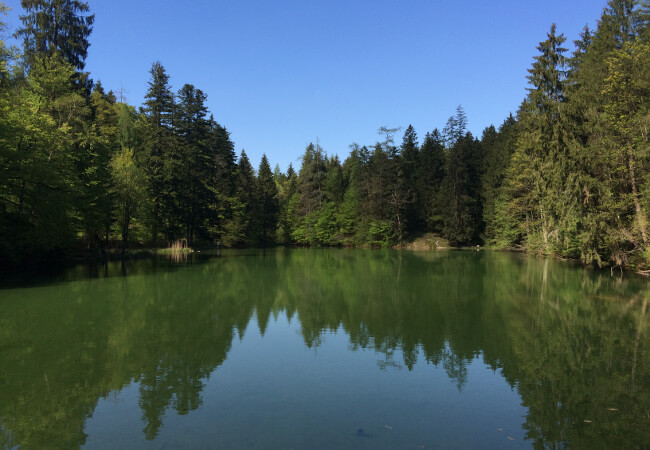 Blick auf den Taubensee bei Ruhpolding