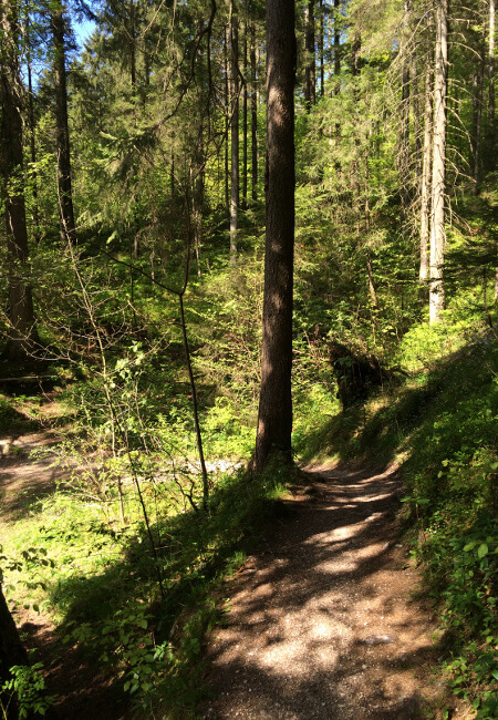 Wanderweg um den Ruhpoldinger Taubensee