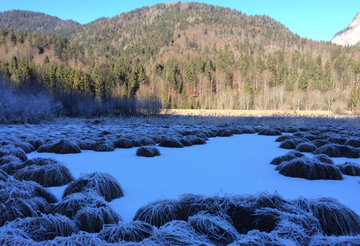 Der vereiste Weitsee bei Ruhpolding