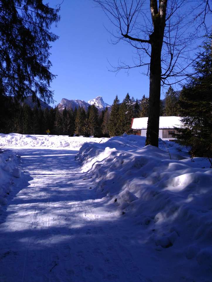Spaziergang im Schnee in Ruhpolding